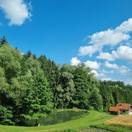 Holiday House Apartment Voukov Mlin シュマリェ・プリ・イェルシャフ エクステリア 写真