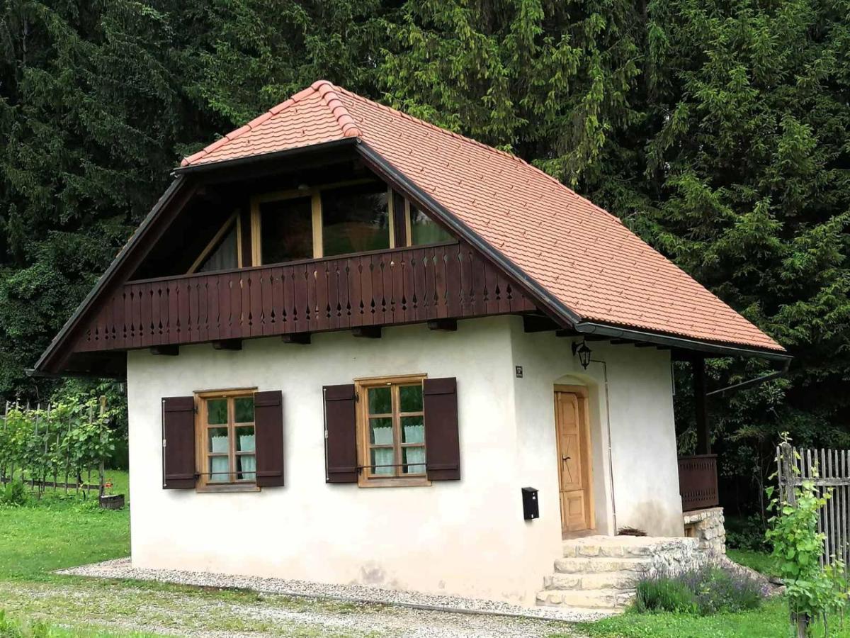 Holiday House Apartment Voukov Mlin シュマリェ・プリ・イェルシャフ エクステリア 写真